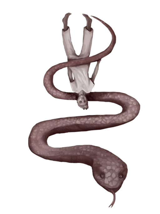 abnormala transparent logo