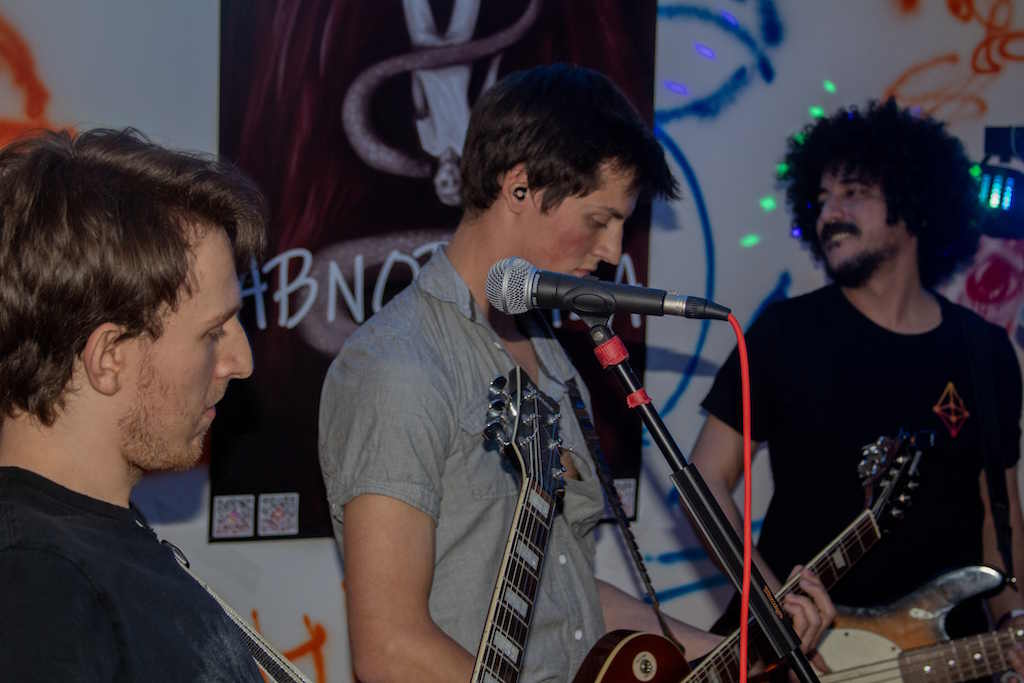 Koncert Dom 11