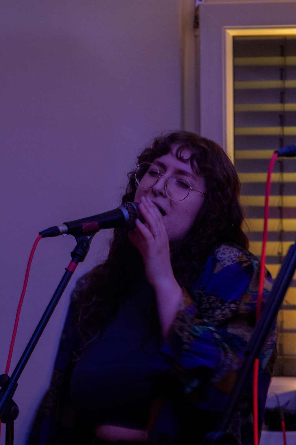 Koncert Dom 11 – Abnormala live concert, photo 11